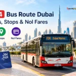 F24 Bus Route Dubai | Timings, Stops & Nol Fares